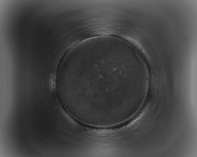 X0000088360889200705291305