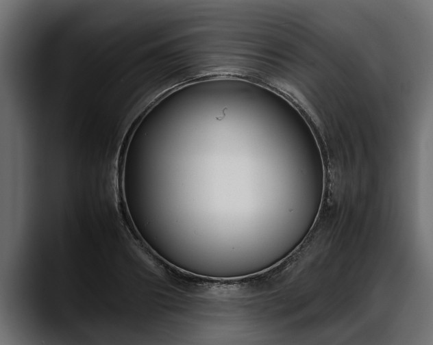 X0000088360890200705291305