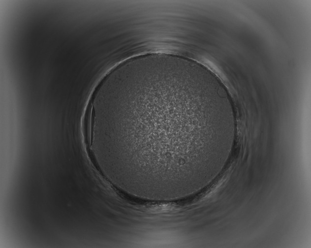 X0000088360891200705291305