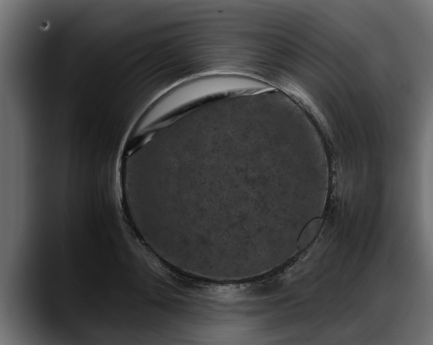 X0000088360892200705291305