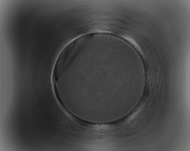 X0000088360893200705291305