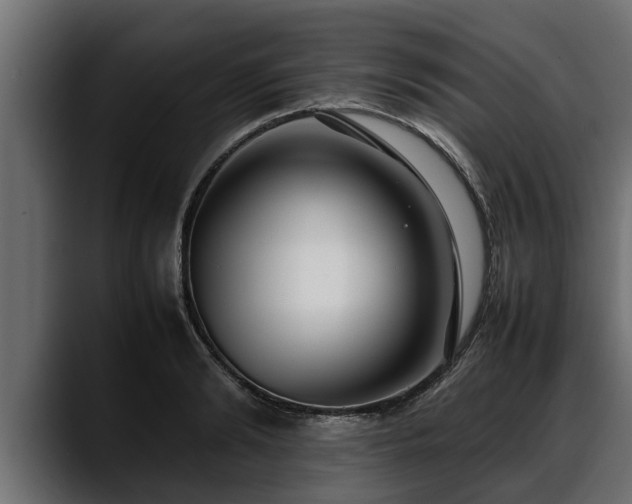 X0000088360894200705291305