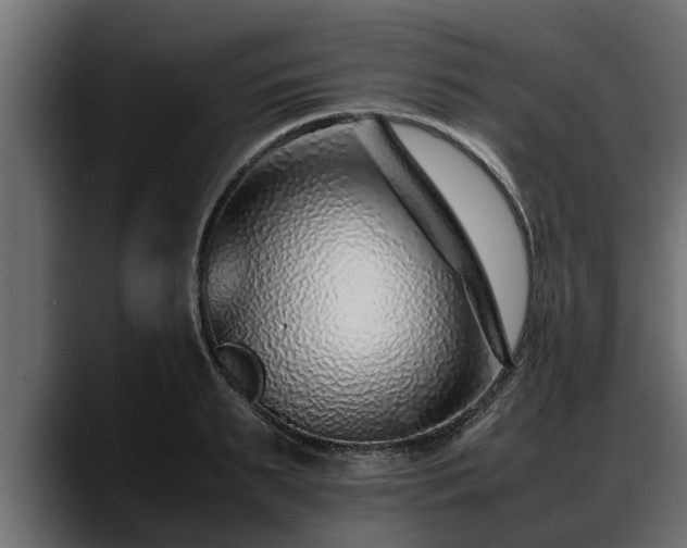 X0000088360895200705291305