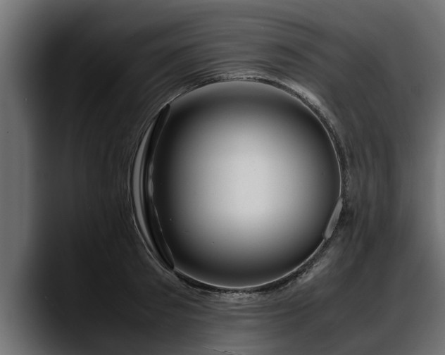 X0000088360897200705291305