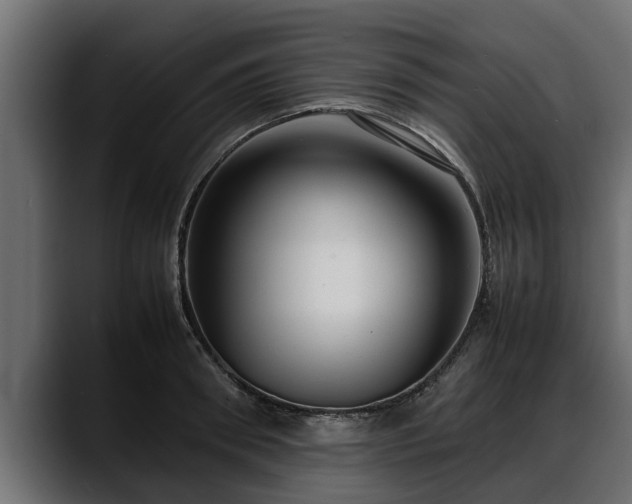 X0000088360898200705291305