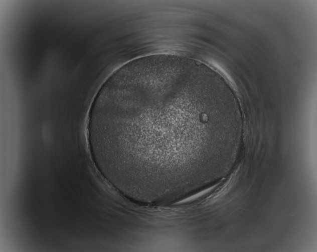 X0000088360899200705291305