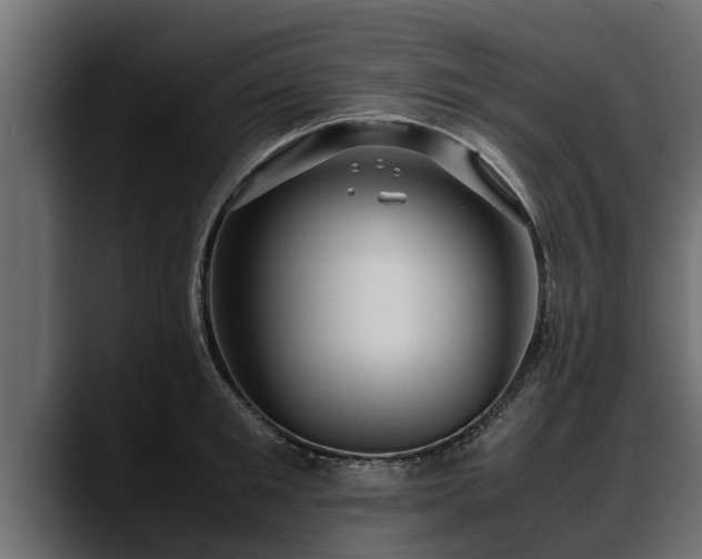 X0000088360901200705291305