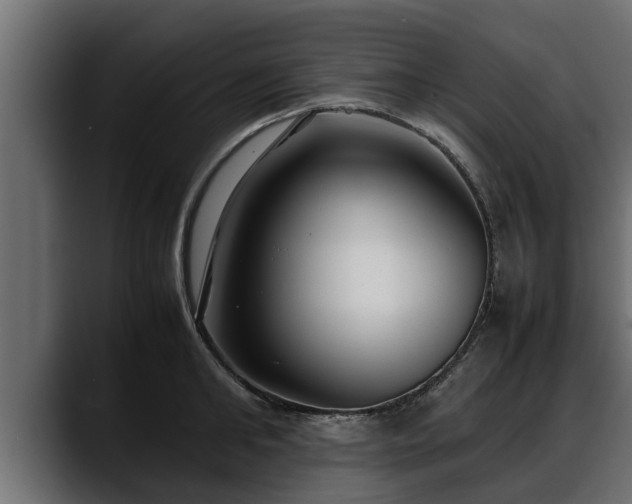 X0000088360902200705291305