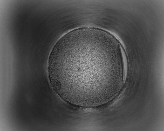 X0000088360903200705291305