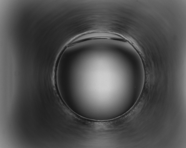 X0000088360904200705291305