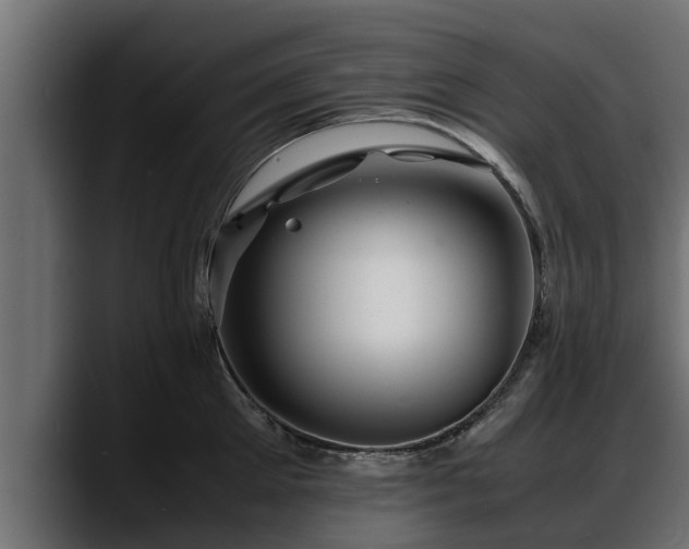 X0000088360905200705291305