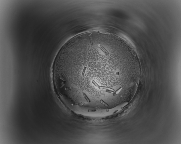 X0000088360907200705291305