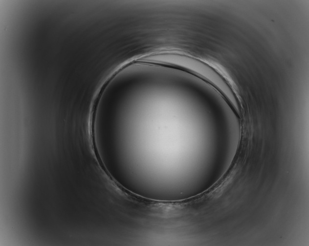 X0000088360910200705291305