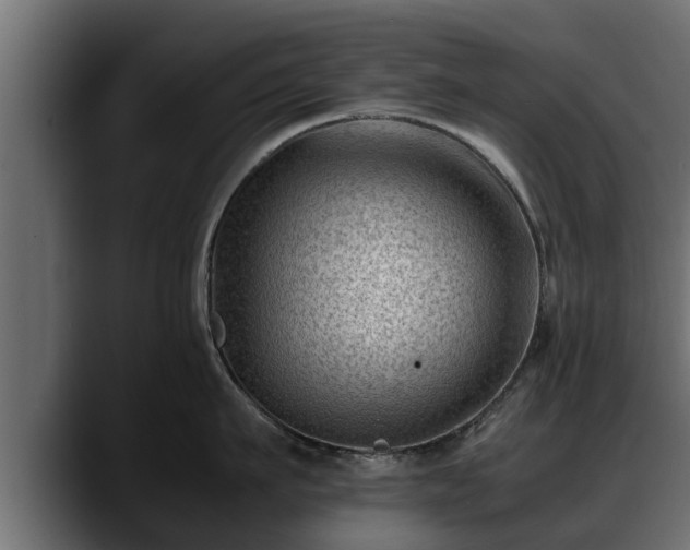 X0000088360911200705291305