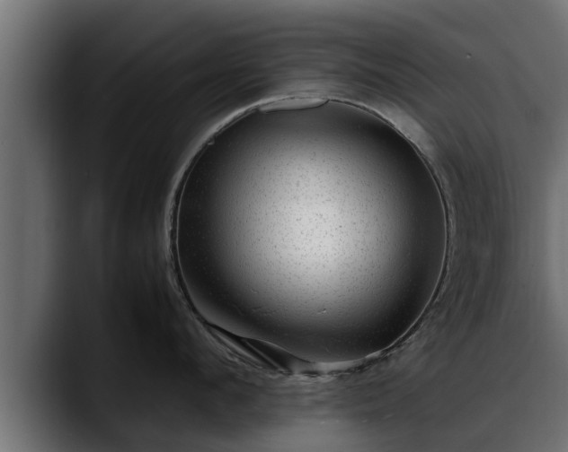 X0000088360912200705291305