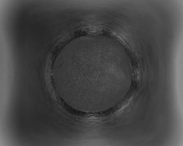 X0000088360913200705291304