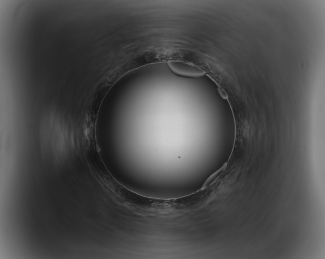 X0000088360914200705291304