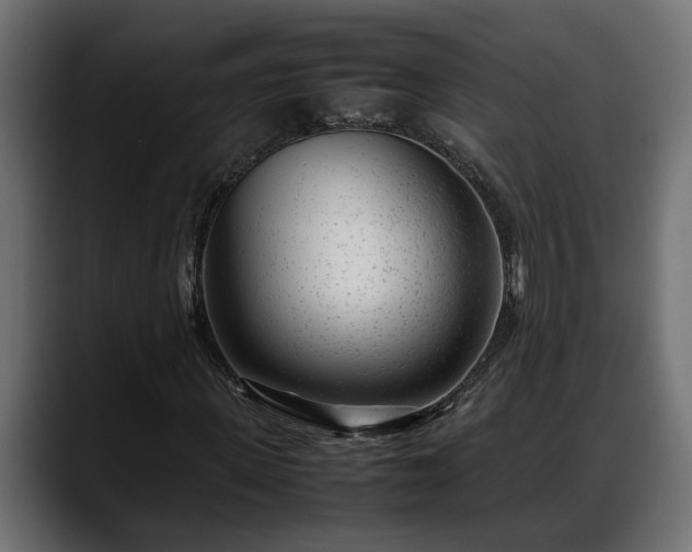 X0000088360915200705291304