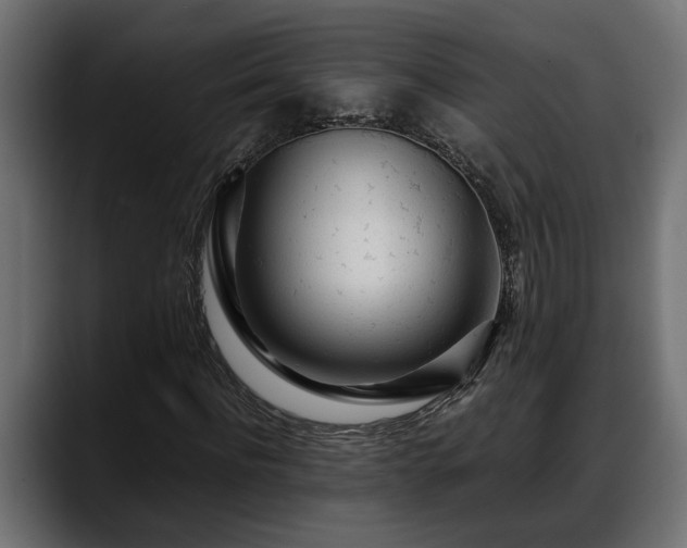 X0000088360916200705291304