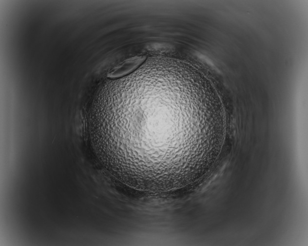 X0000088360917200705291304