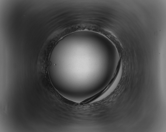 X0000088360919200705291304