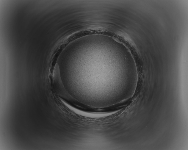 X0000088360920200705291304