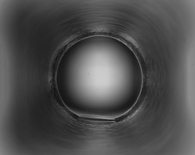 X0000088360922200705291304