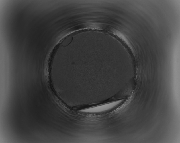 X0000088360923200705291304