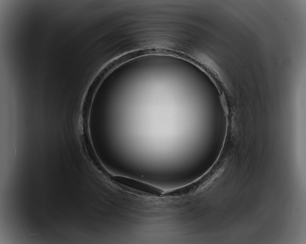 X0000088360924200705291304