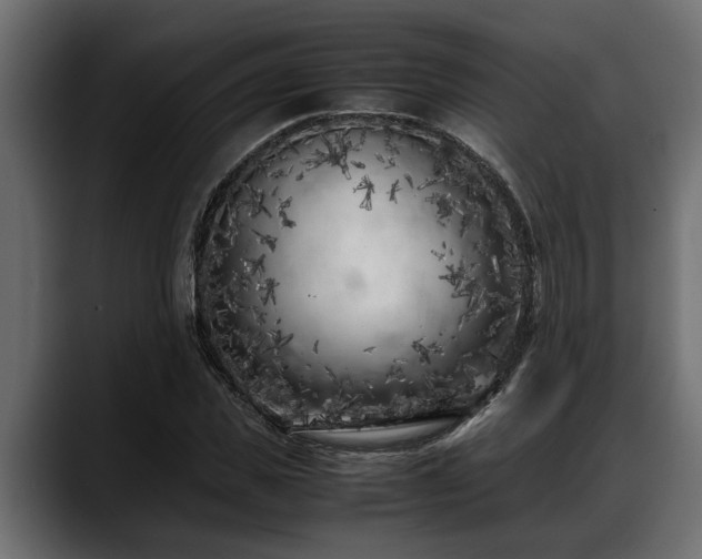 X0000088360925200705291304