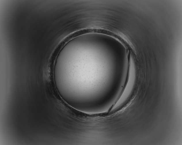 X0000088360926200705291304