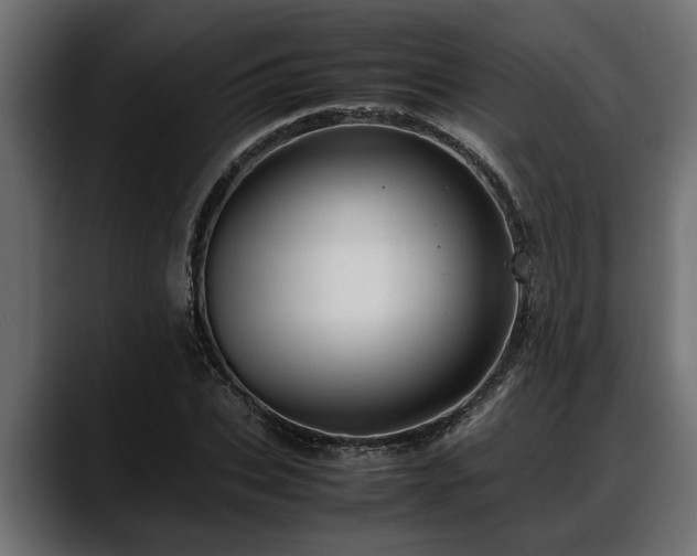 X0000088360927200705291304