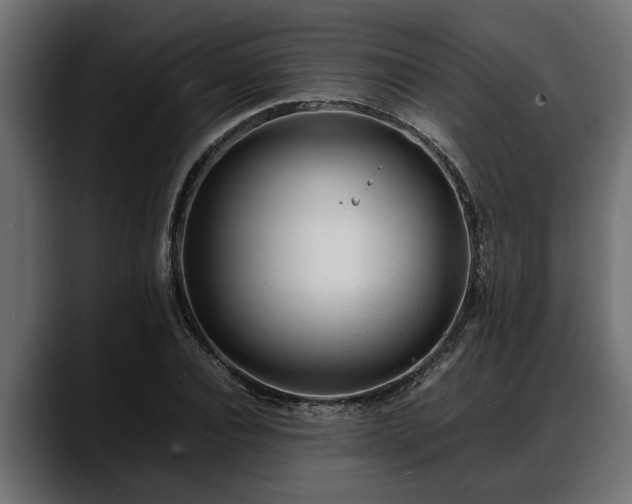 X0000088360928200705291304