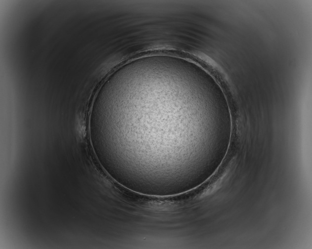 X0000088360929200705291304