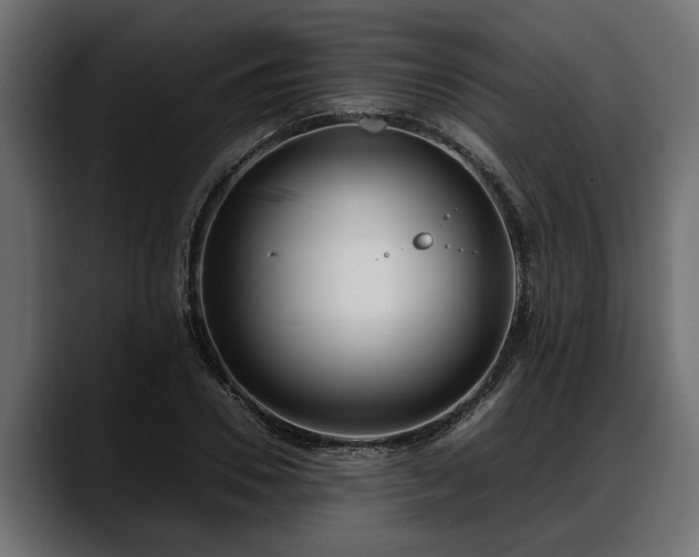 X0000088360930200705291304