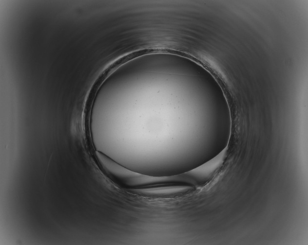 X0000088360932200705291304