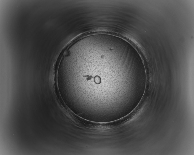 X0000088360933200705291304