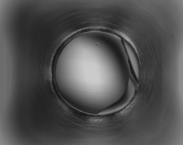 X0000088360935200705291304