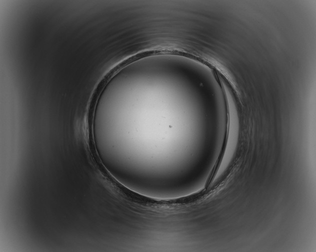 X0000088360936200705291304