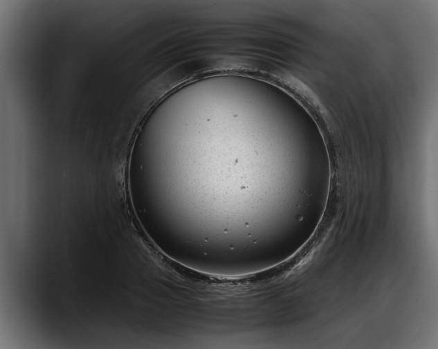 X0000088360937200705291304