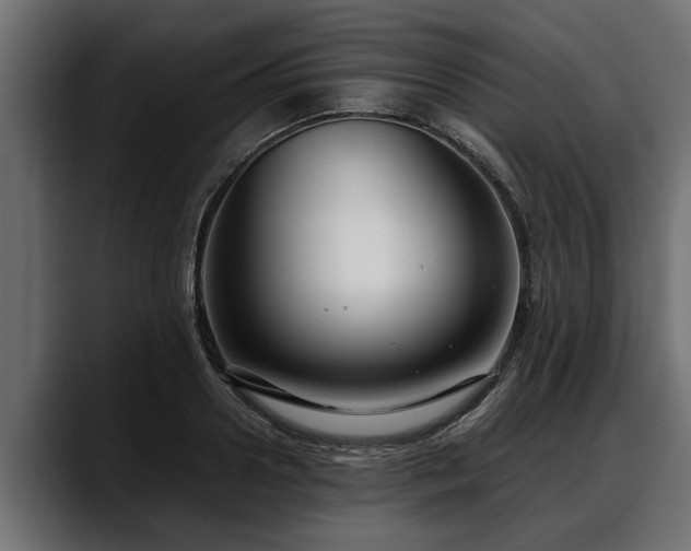 X0000088360938200705291304