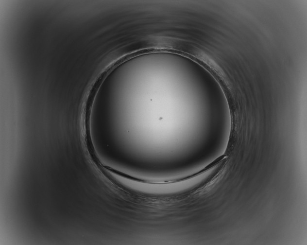 X0000088360939200705291304