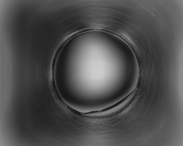 X0000088360940200705291304