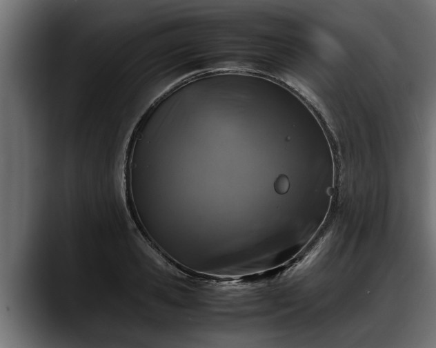 X0000088360941200705291304