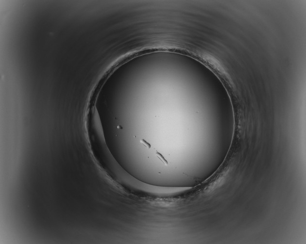 X0000088360942200705291304