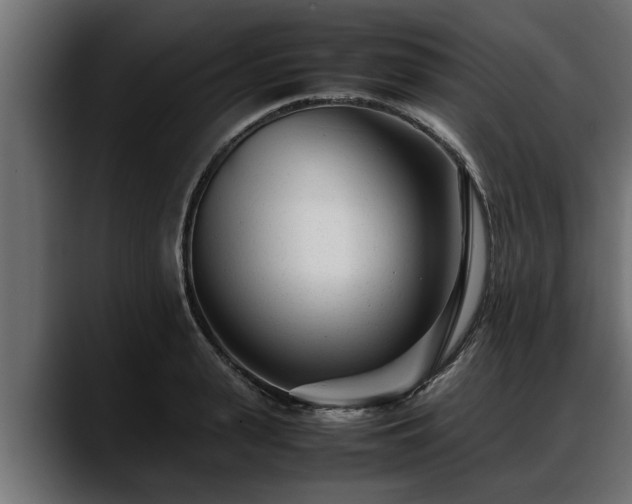 X0000088360943200705291304