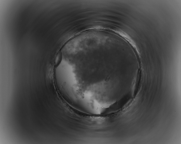 X0000088360945200705291304