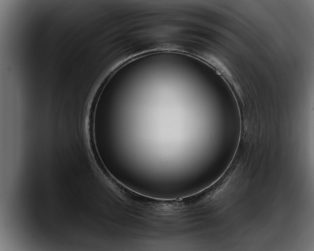 X0000088360947200705291304