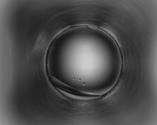 X0000088360949200705291304