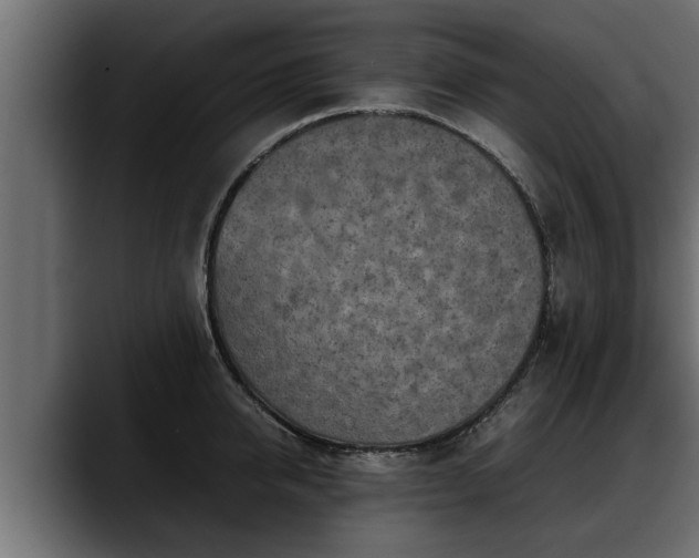 X0000088360950200705291304